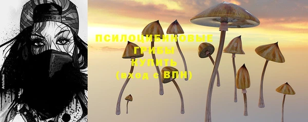 прущая мука Белоозёрский