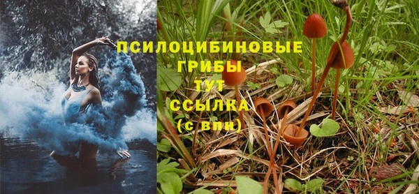 марки nbome Баксан
