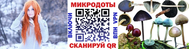 Псилоцибиновые грибы Magic Shrooms  Таруса 